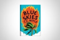 The cover of Blue Skies by T. C. Boyle.