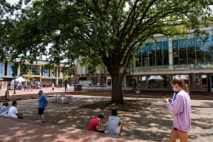 A few students walk, stand or sit outside on Chapel Hill's campus, in the shade of a tree. 